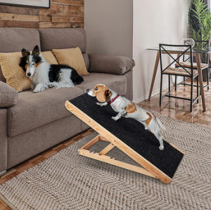 Step Up: Choosing the Right Dog Ramp Australia for Your Furry Friend