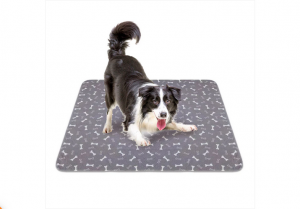 Cooling Comfort: Beat the Heat with Dog Cooling Mats in Australia